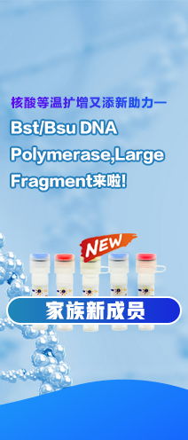 A21K Mr角转子 23120 G, 12×10ml E2746 技术参数与服务解析