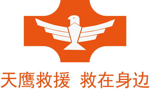 广东天鹰救援技术服务 专业守护，安全护航